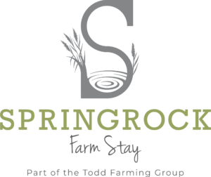 Spring Rock Logo